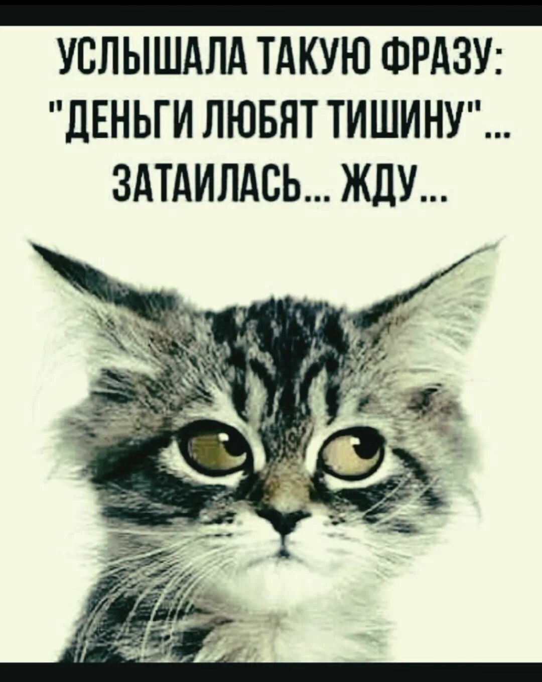 Цитаты люблю деньги. Деньги любят тишину затаилась жду. деньги любят тишину. услышала такую фразу деньги любят тишину затаилась жду. цитаты деньги любят тишину.