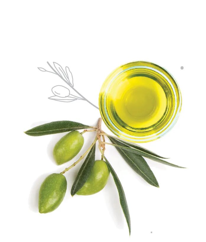 Olea europaea Olive Fruit Oil. Argan & Olive Oil сыворотка. Масло оливы, жожоба оливы. Оливковое масло в косметике.