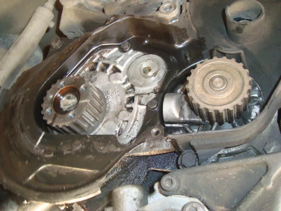 4 дизель. 5 2007 года. 5 tdi. ремень грм contitech ct1050. 4 дизель.