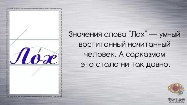 Переведи слово был. Что обозначает слово лох. Обозначение слова лох. Как расшифровывается слово лох. Перевод слова лохушка.