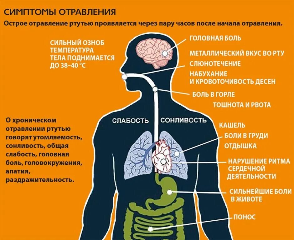 Почему опасно вдыхать химические вещества. Острое отравление ртутью симптомы. Симптомы попадания ртути в организм. Признаки отравления. Стмптгмыотраыления ртутью.