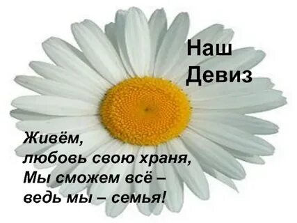 Девиз ромашки
