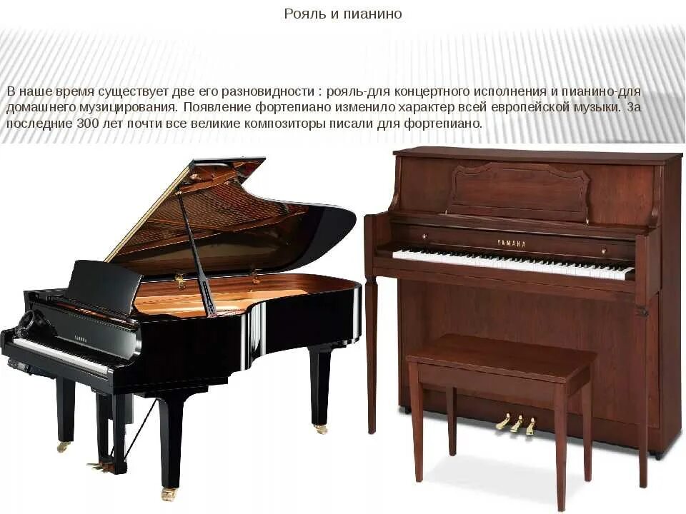 Каким инструментам относится рояль. Клавесин пианино рояль фортепиано разница. пианино фортепиано рояль отличия. что такое фортепиано и его разновидность. пианино и рояль разница.