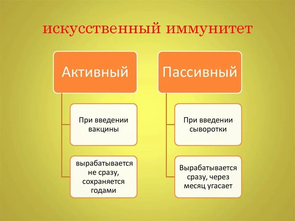 Искусственно активный и пассивный иммунитет. Искусственный иммунитет. Пассивный иммунитет. Искусственный активный иммунитет вырабатывается. Активный иммунитет вырабатывается после введения