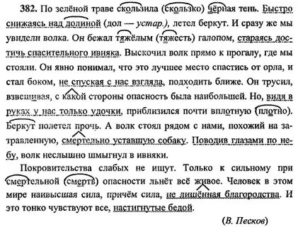Упражнение 224 по русскому языку 6 класс