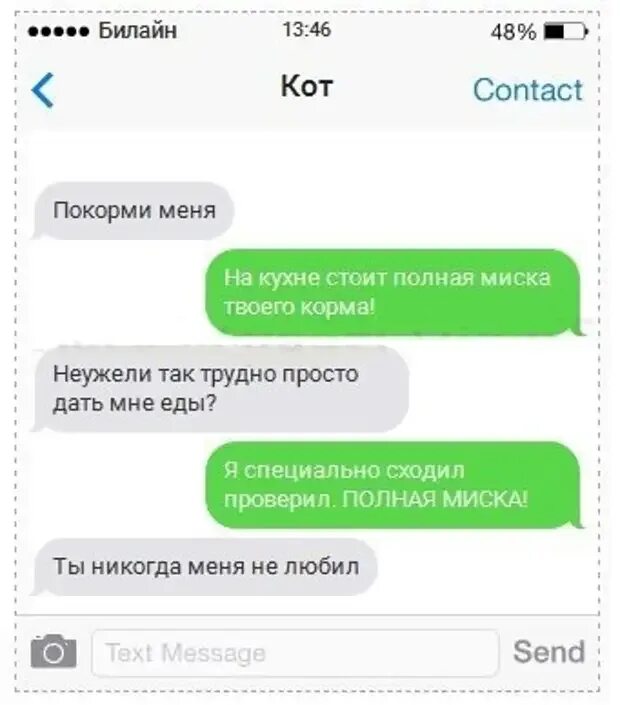 Переписка животных. Переписка с котом. смешные сообщения от животных. сообщение от кота. диалог с котом.
