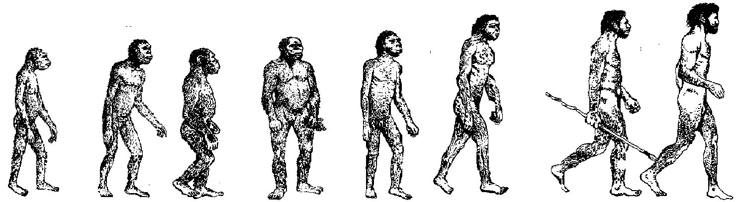Хомо сапиенс сколько лет существует. Кроманьонцев неандертальцев синантропов питекантропов. Человек разумный неандерталец и кроманьонец. Неандерталец и кроманьонец австралопитек человек умелый. Неандерталец, питекантроп хомо сапиенс.