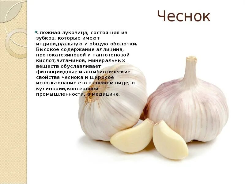 Чеснок утром польза. Чеснок витамины. Какие витамины содержатся в чесноке. Витамины содержащиеся в чесноке. Витамины в луке и чесноке.