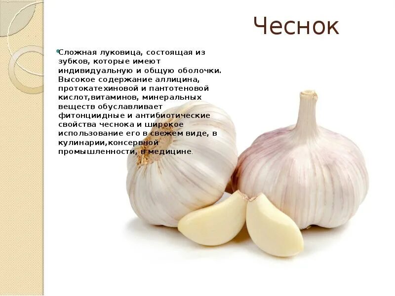 Чеснок витамины. Какие витамины содержатся в чесноке. Витамины содержащиеся в чесноке. Витамины в луке и чесноке. Лимонная кислота содержится в репчатом луке