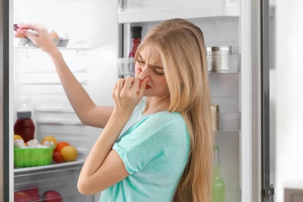 Как убрать запах из под. Испорченные продукты в холодильнике. запах в холодильнике. неприятный запах. запах из холодильника.