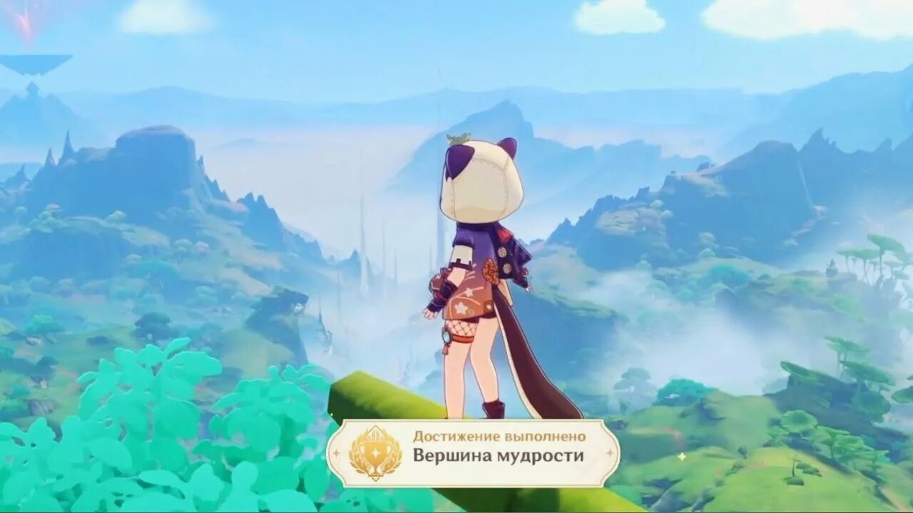 Я достиг вершины благодаря