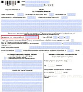 Новый рсв 1