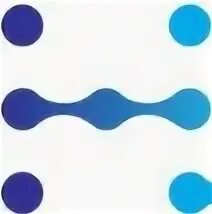 Компания motion. Компания motion