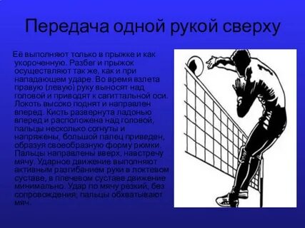 Защитник 6 букв