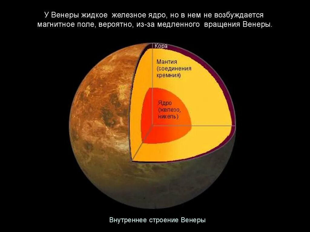 Литосфера венеры