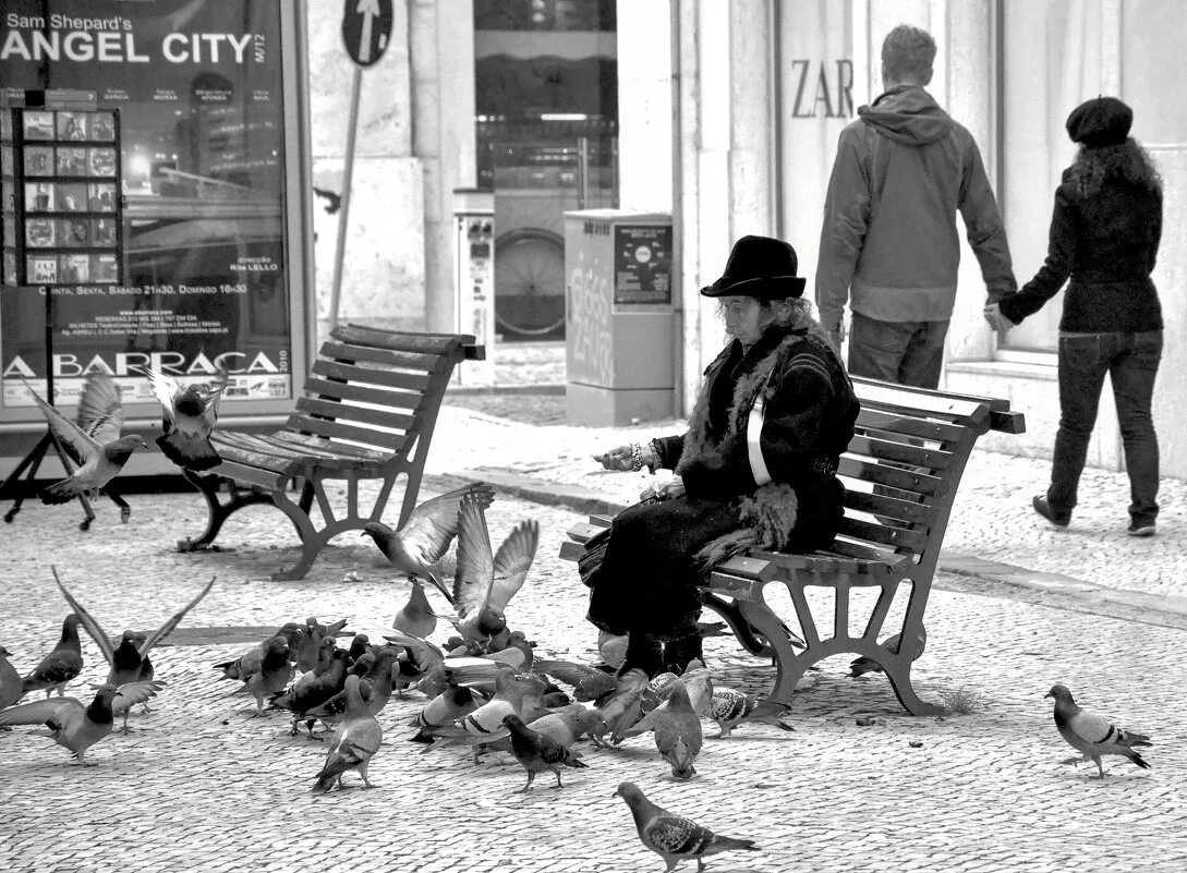 Хороший. Песня извозчик розенбаум. И старушки крошат хлебный мякиш сизым голубям. И старушки крошат хлебный мякиш сизым голубям. И старушки крошат хлебный мякиш сизым голубям.