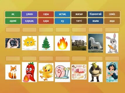 Әйелдерде және жыныстық қатынаста пудендальды нервтердің қысылуы