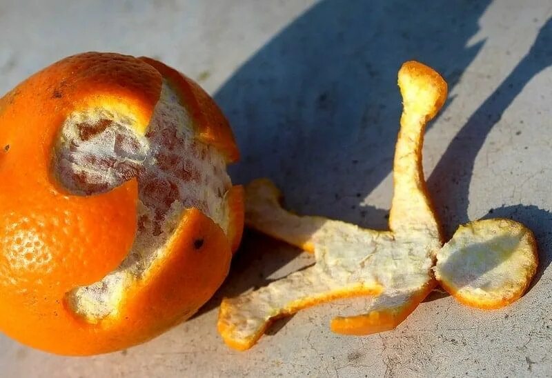 Человек кожура. Апельсиновая корка. Кожура апельсина. Человечек из кожуры апельсина. Шкурка от апельсина.