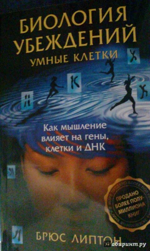 Брюс липтон клетка. Биология убеждений. брюс липтон умные клетки. жизнь и я. умные клетки.