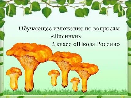 Какого цвета лисички русский язык 2 класс