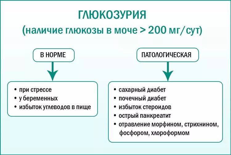 Глюкозурия в моче