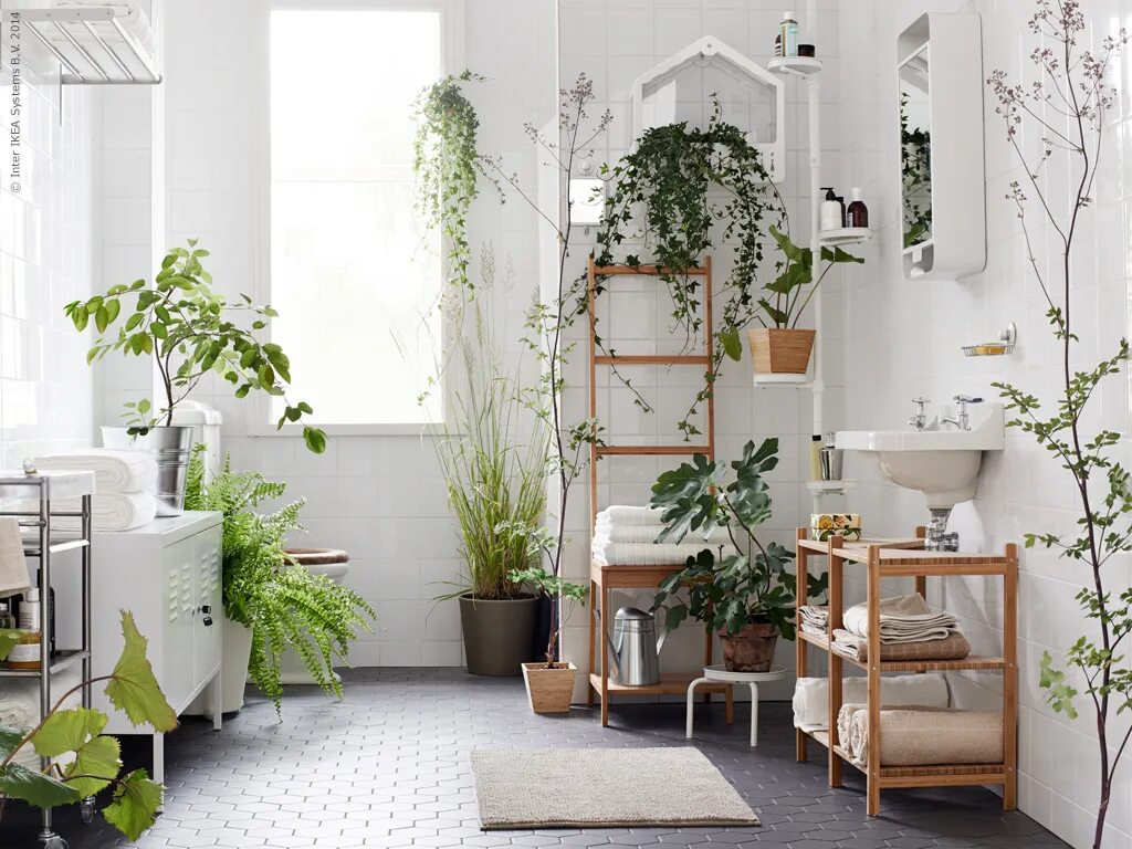 Plantes vertes Plante interieur, Plante verte et Deco plantes