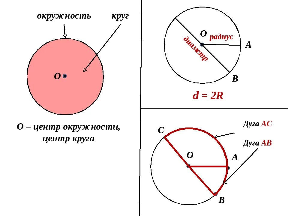 Сколько составляет радиус. Окружность круг радиус 3 класс. Математика 3 класс окружность круг радиус диаметр. Диаметр окружности круга. Радиус и диаметр окружности.