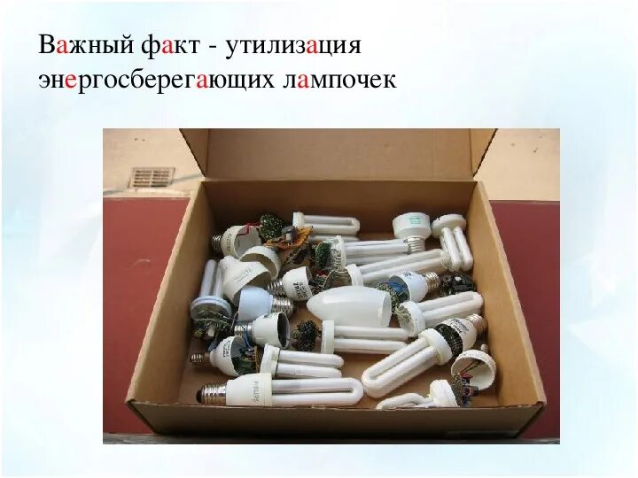 Как утилизировать люминесцентную