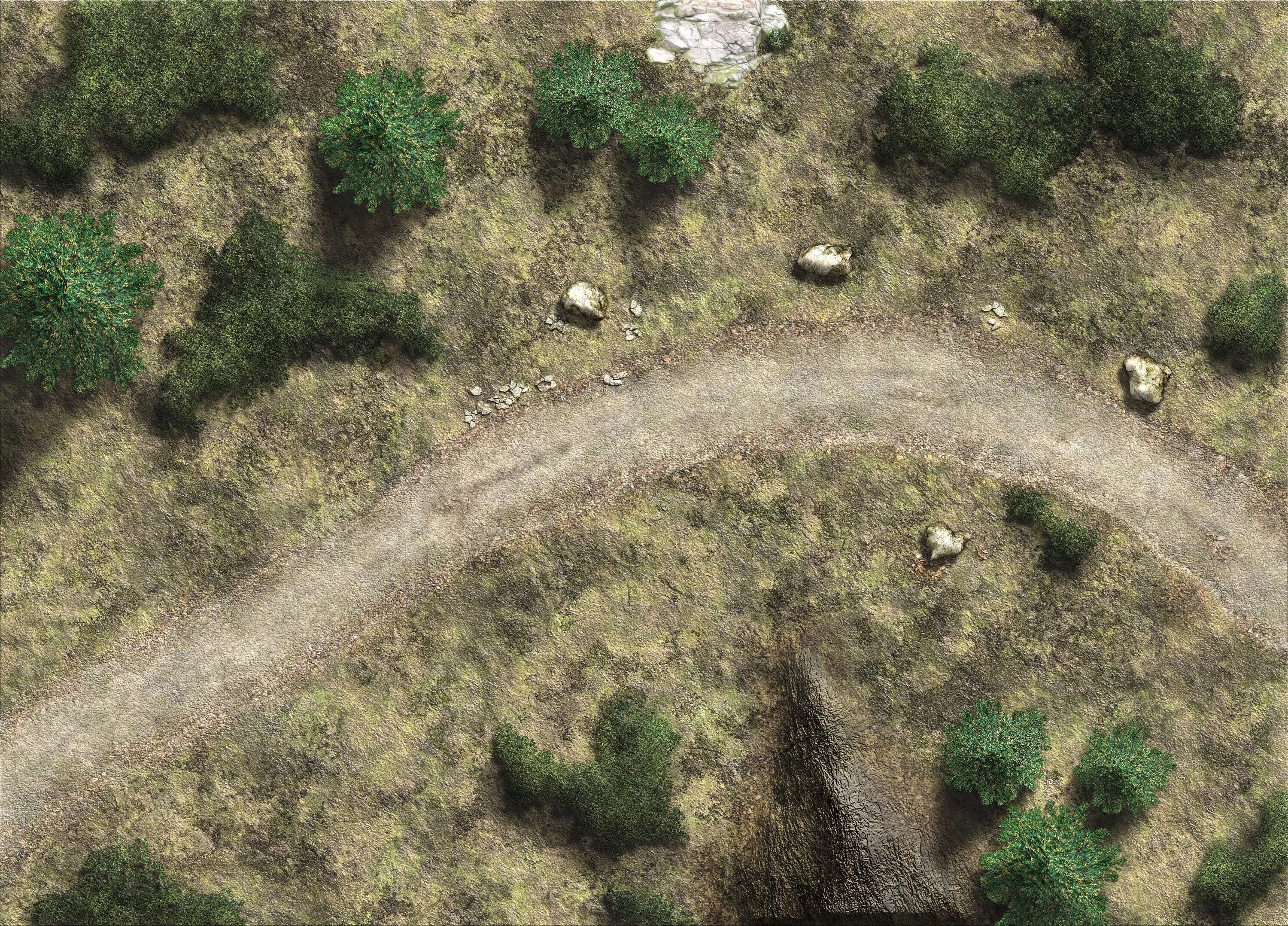 D d поле. Дорога DND Map. Поле боя ДНД. ДНД поле боя лес. DND Battle Map Forest Road Battle Map.