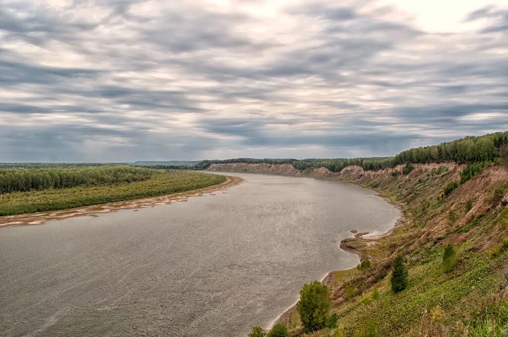 Обь село. Река Обь Томская область. Обь в Кривошеино. Село Кривошеино Томская область. Кожевниково река Обь.