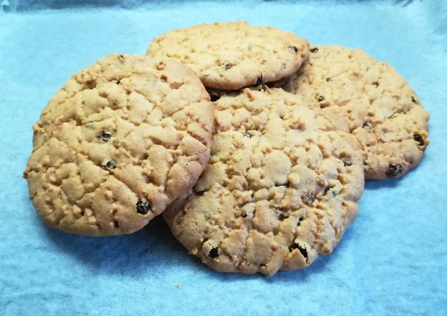 Печень твороженое с изюмом. Овсяное печенье с орехами. Печенье домашнее с изюмом в духовке. Печенье домашнее с изюмом в духовке. Овсяное печенье с изюмом.