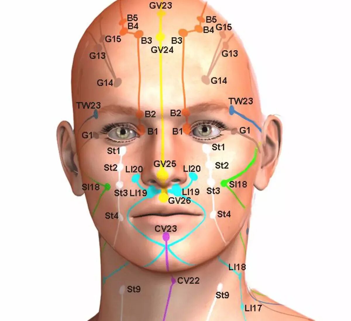 Названия точек человека. Биологически активные точки - точки акупунктуры. Активные точки акупунктура. Акупунктурные точки на лице схема. Акупунктурные точки на лице человека.