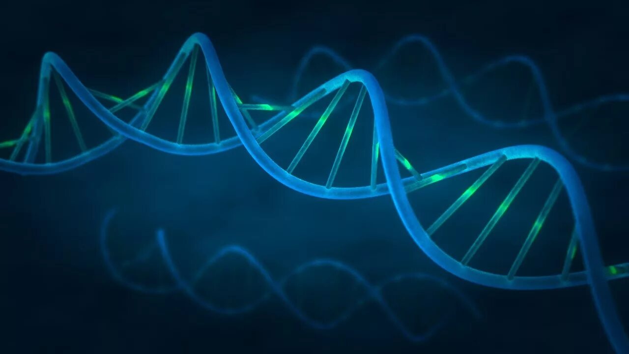 Молекула днк. Молекула днк. Dna fi. Dna fi. Геномная днк.