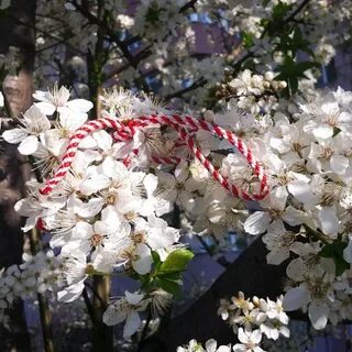 Картинки мэрцишор с первым днем весны
