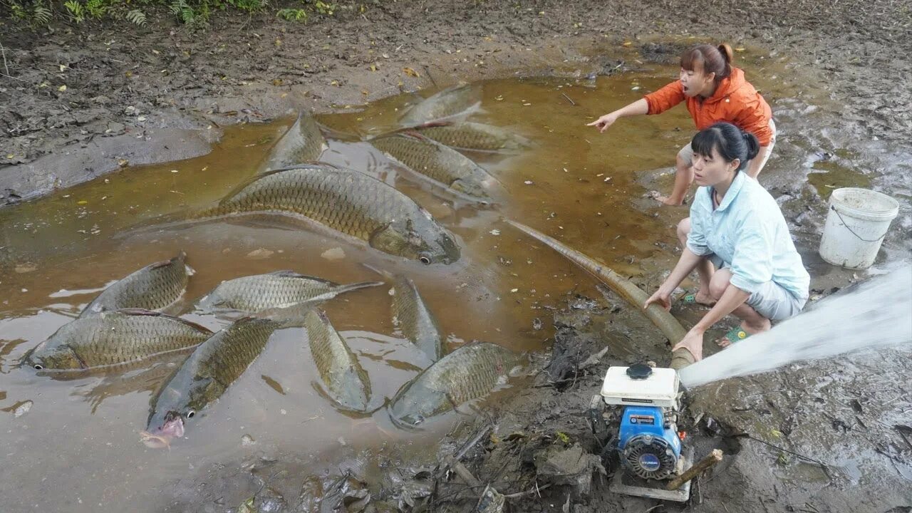 Catch water. Catch water