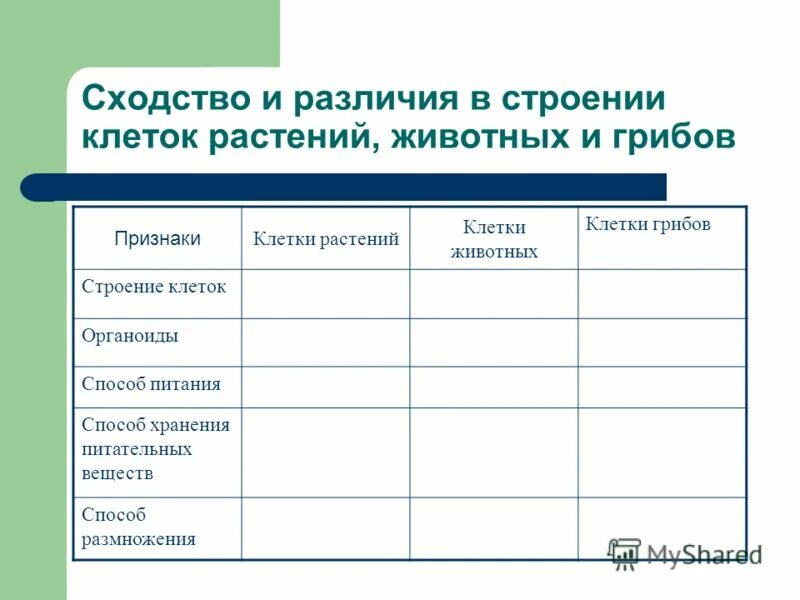 Сходства и различия растений. Сходства и различия клеток растений животных грибов. Сходства и различия клеток животных и грибов. Сходства и различия в строении клеток. Сходства и различия в строении клеток растений животных и грибов.