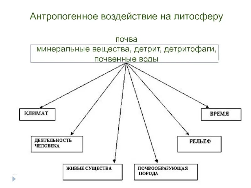 Схема антропогенного воздействия на окружающую среду. Антропогенное воздействие. Антропогенное воздействие на окружающую среду. Антропогенное влияние.