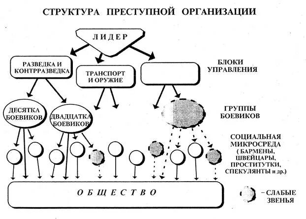 Занятие высшей преступной иерархии. Структура организованной преступности схема. организованная преступность схема. структура организованной преступной группы схема. структура примитивной преступной группы.