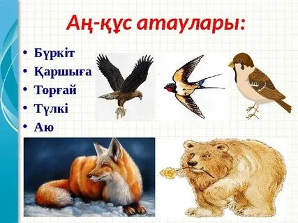 Порно секс машинасы арқылы оргазмға әкелді