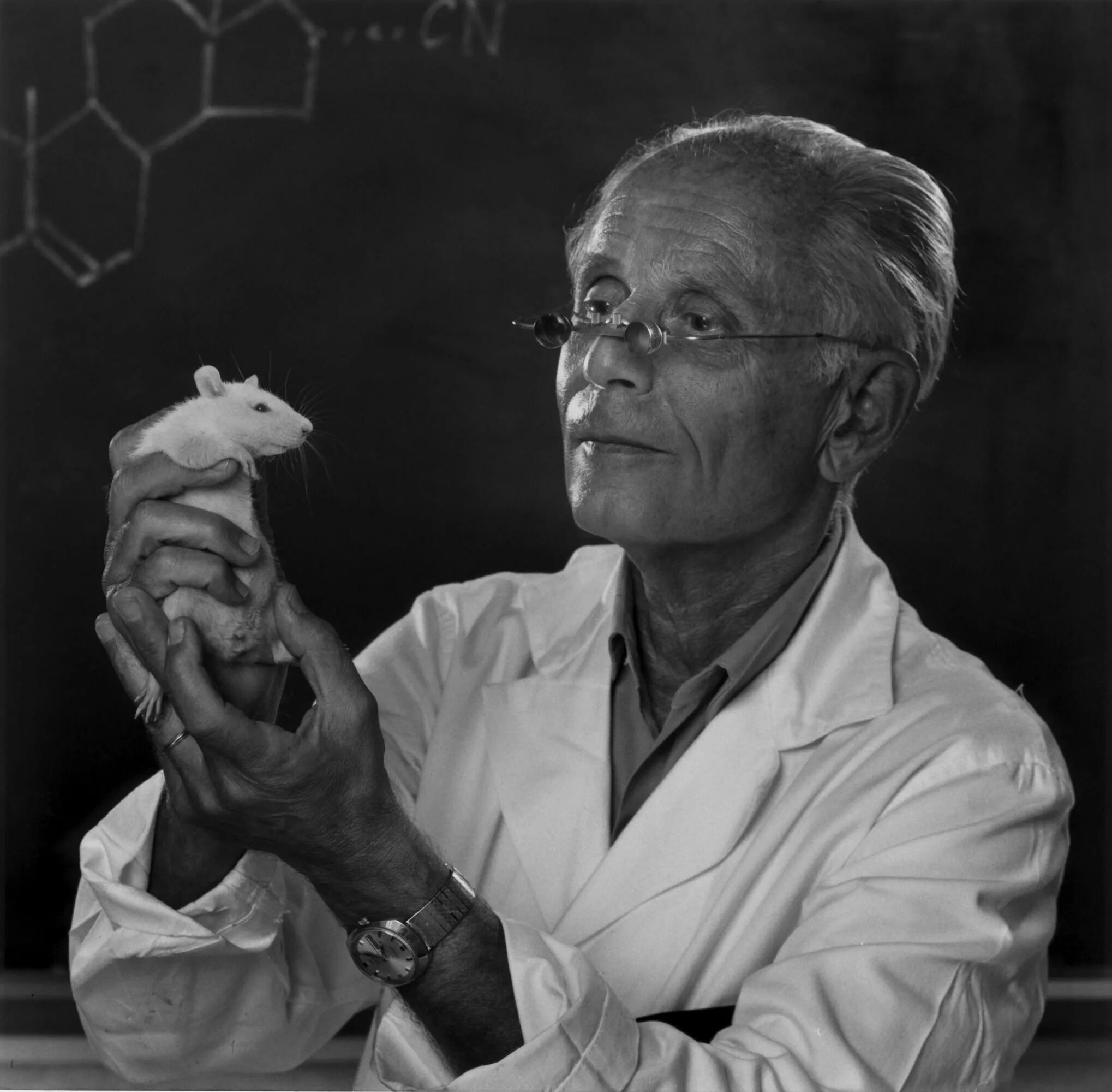 Ганс Селье. Канадский ученый Ганс Селье. Ганс Селье (1907 - 1982). Физиолог Ганс Селье.