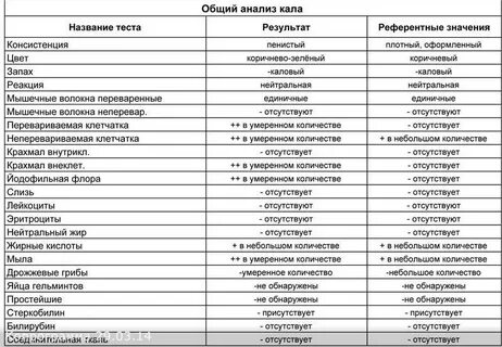 Норма анализа копрограмма у взрослых