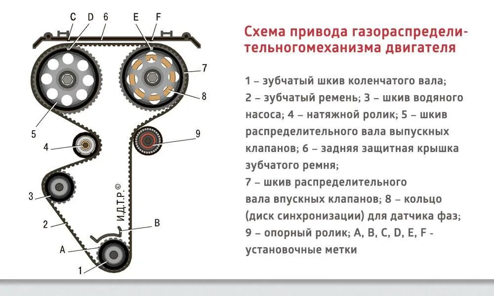 Сколько ремней в двигателе. ГРМ ВАЗ 2112 16 клапанов 1.5. Ремень ГРМ ВАЗ 2112 16 клапанов на двигателе. Схема ГРМ 124 мотор. ГРМ ВАЗ 2112 16 клапанов.