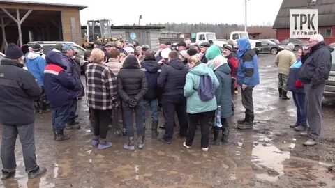 Погода посадников