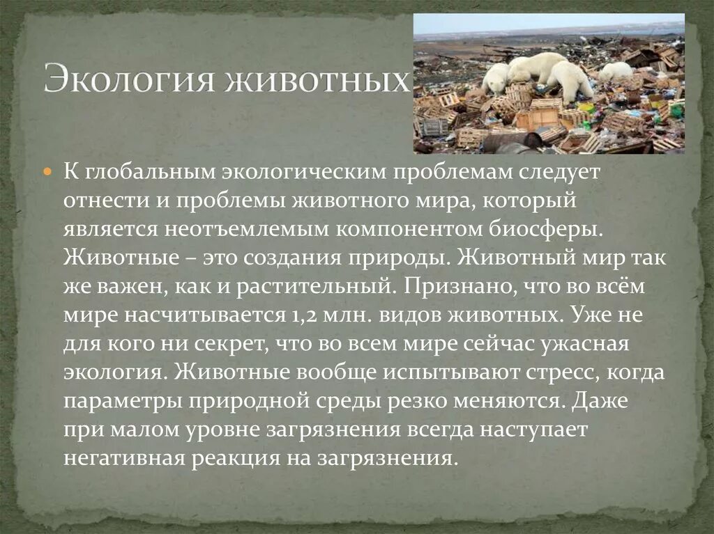 Проблемы животных. Экология животного мира. экологические проблемы животные. глобальная проблема животного мира.