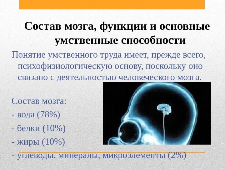 Состав мозга. Из чего состоит мозг. Химический состав головного мозга. Химический состав могза.