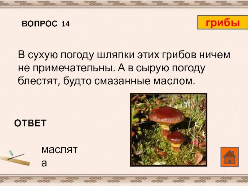 Кроссворд на слово гриб. Вопросы про грибы. Вопросы про грибы с ответами. Вопросы на тему царство грибов.