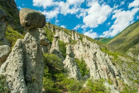 Каменные грибы алтай