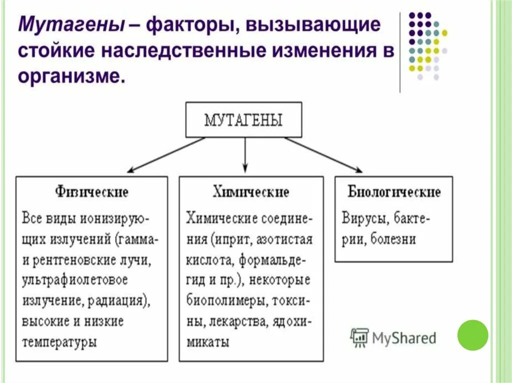 Фактор вызывающий наследственные изменения. Химические факторы мутаций. Мутагенные факторы. Физические мутагены в окружающей среде. Биологические мутагены.