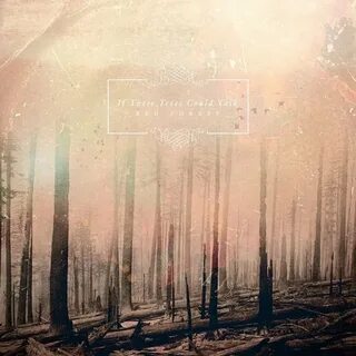 Песня could talk