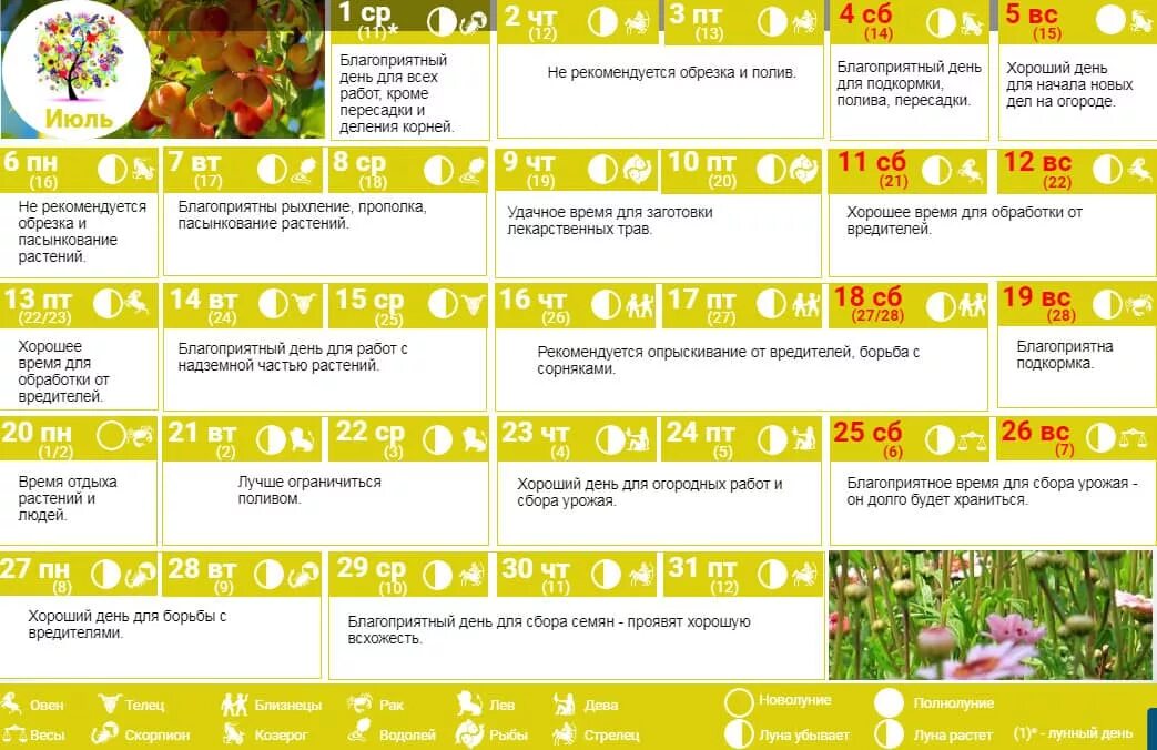 Лунный календарь садовода и огородника. Лунный календарь садовода на апрель 2023. Таблица посевного лунного календаря огородника на 2023 год. Календарь дачника на 2023 год. Календарь садовода на апрель.